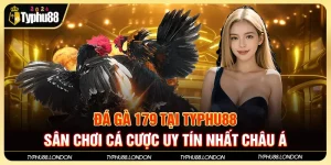 Đá Gà 179 Tại TYPHU88 - Sân Chơi Cá Cược Uy Tín Nhất Châu Á